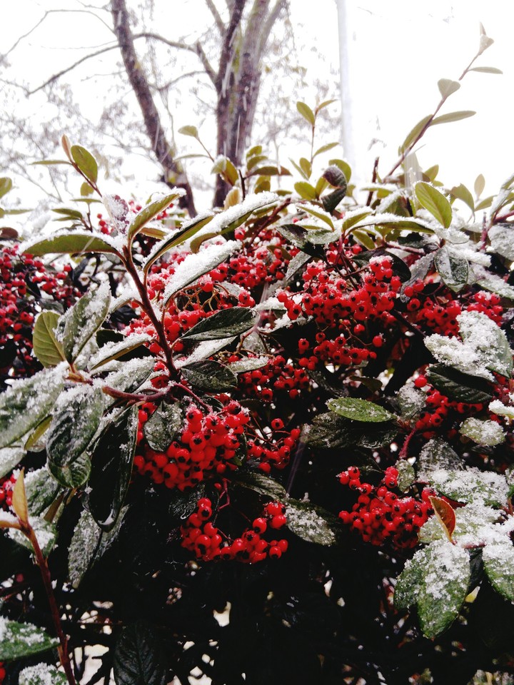Winter