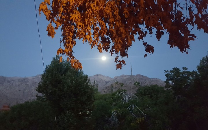 moon