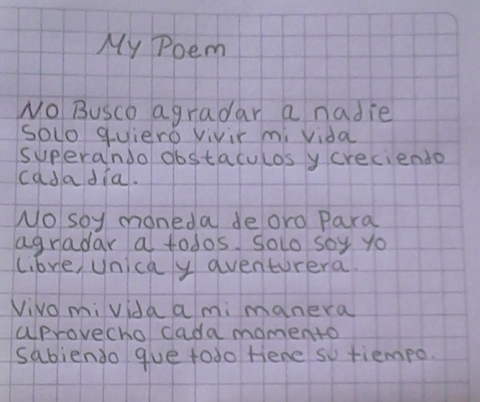 Mi poema