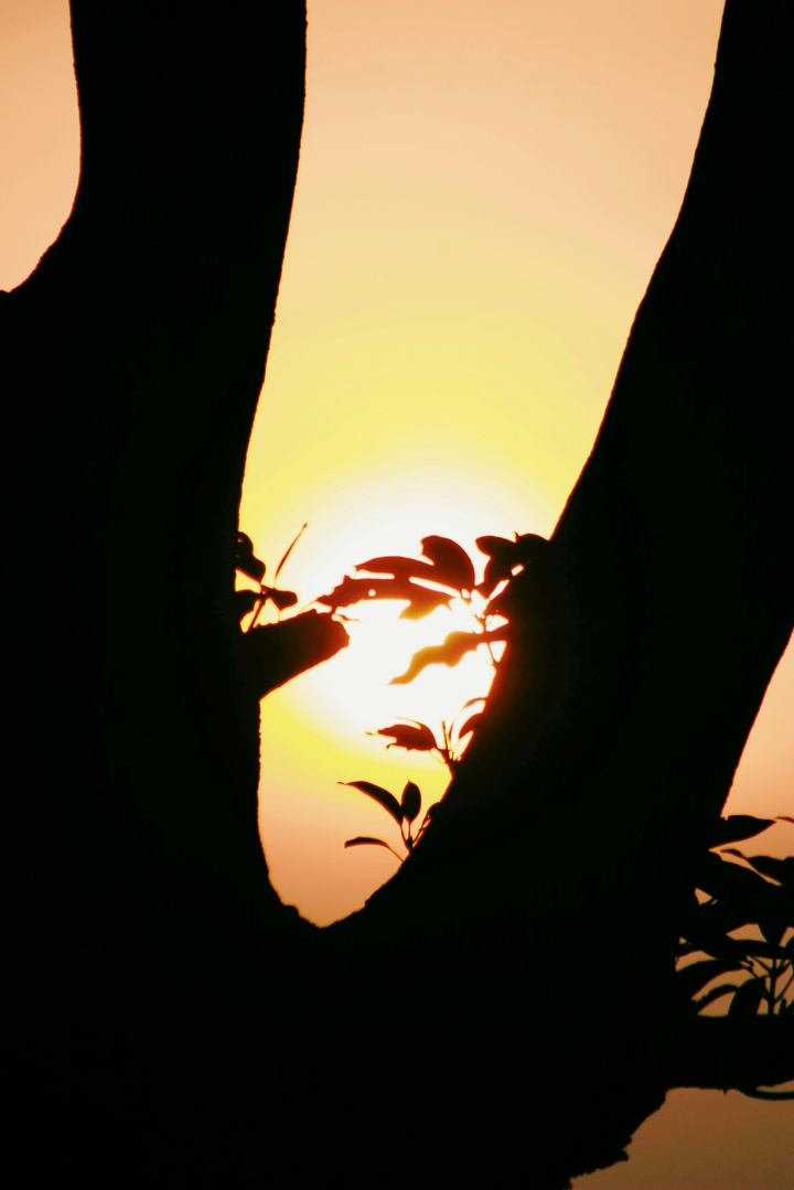 Sun set