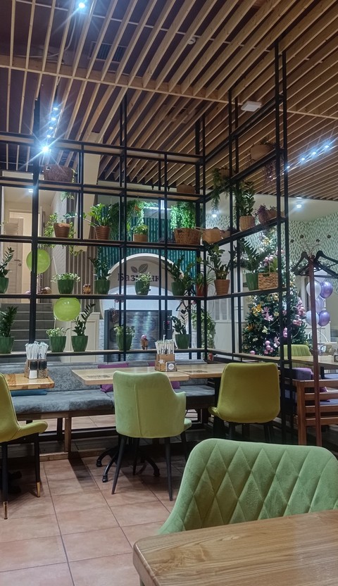 houseplant, furniture वॉलपेपर