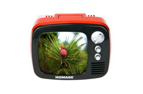 Television