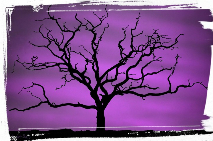tree