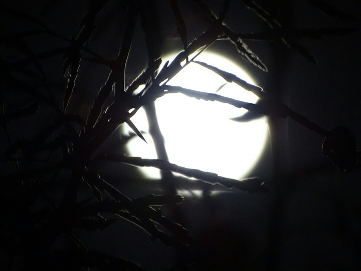 Moon