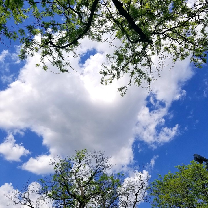 sky