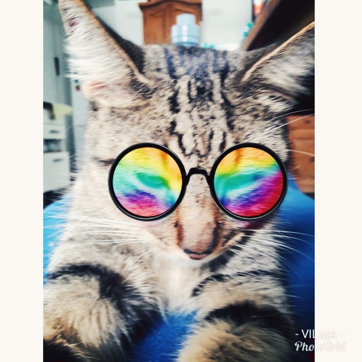 Mi patis