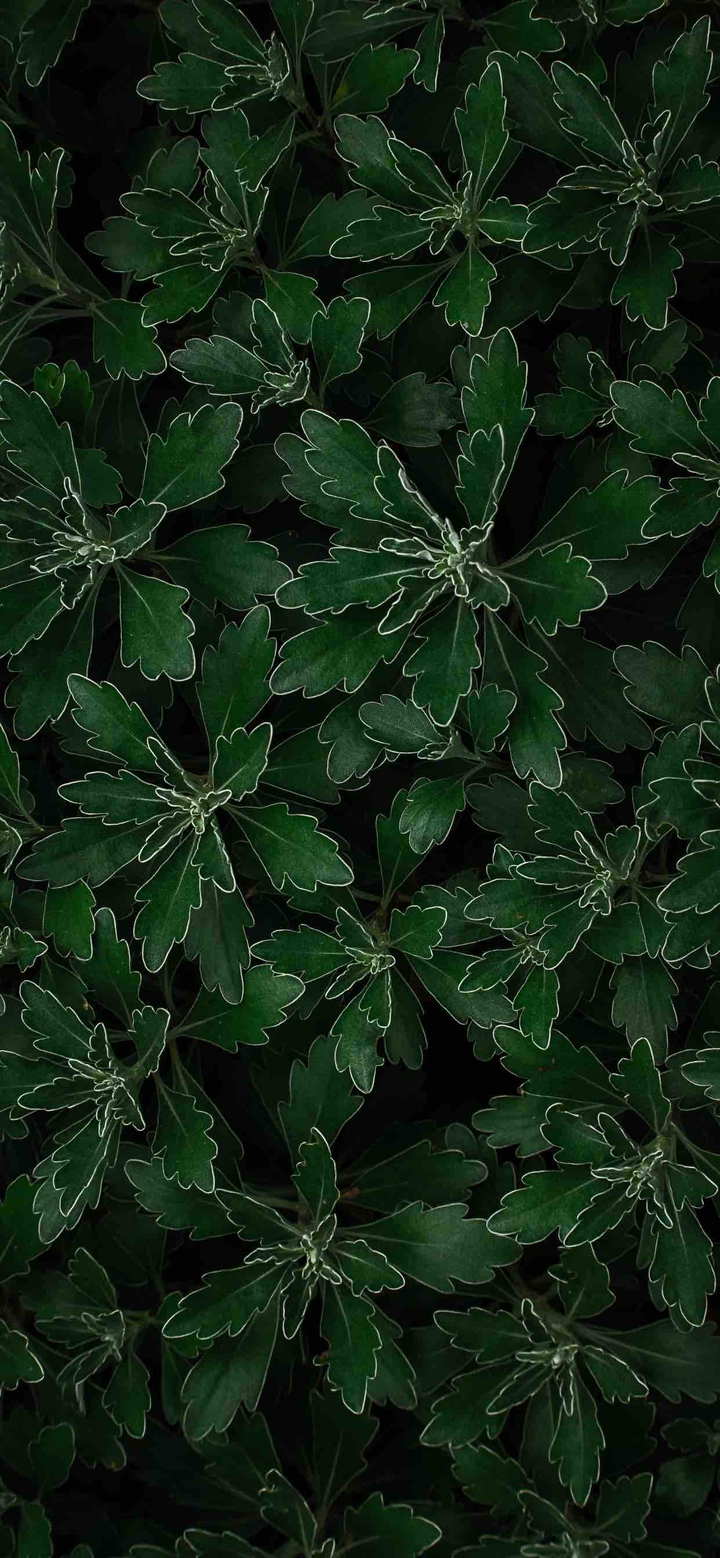 ⠀