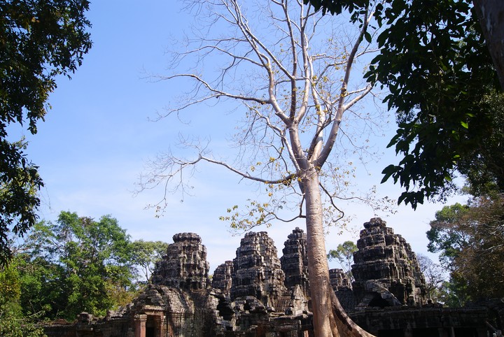 Travel