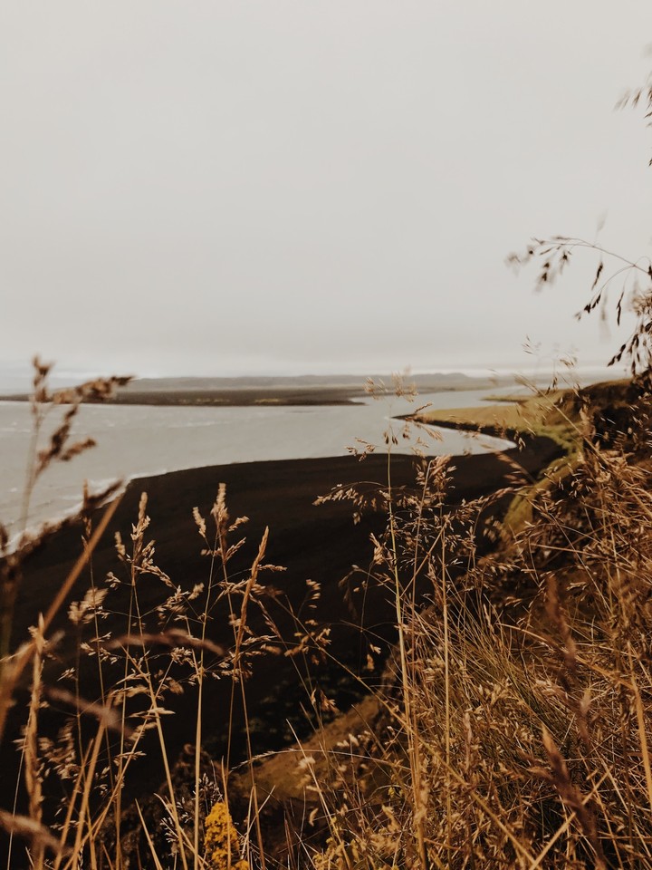 Bank, twig háttérképek
