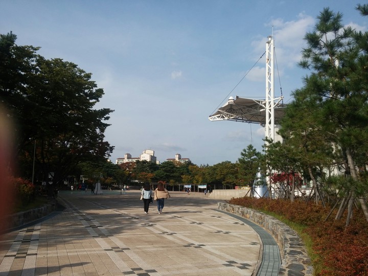 한가로운 공원 오후