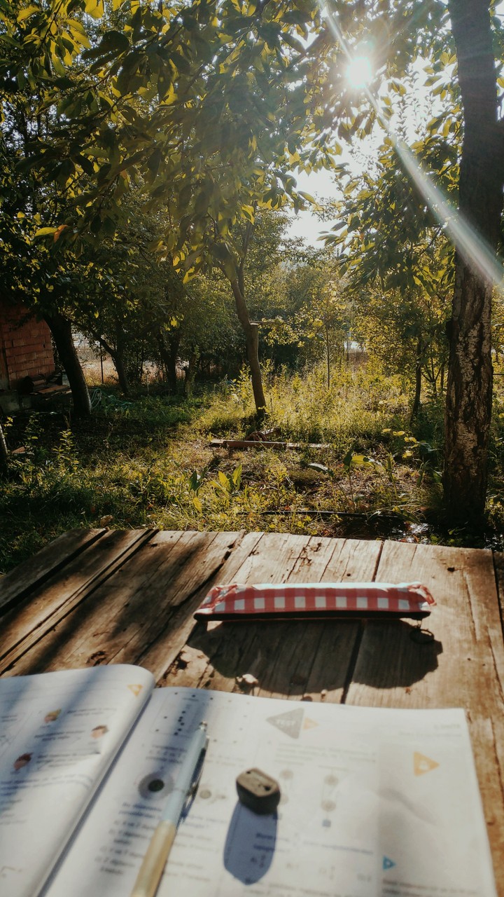 lesson and nature
