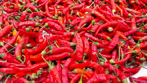 Red chili