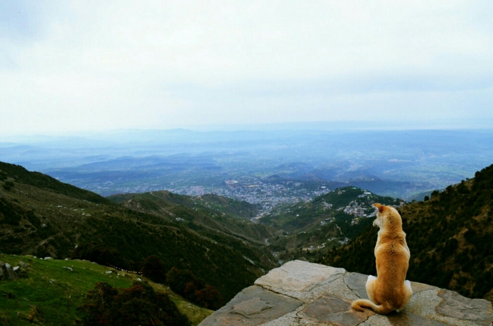 I see the world...
