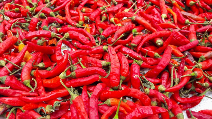 Red chili