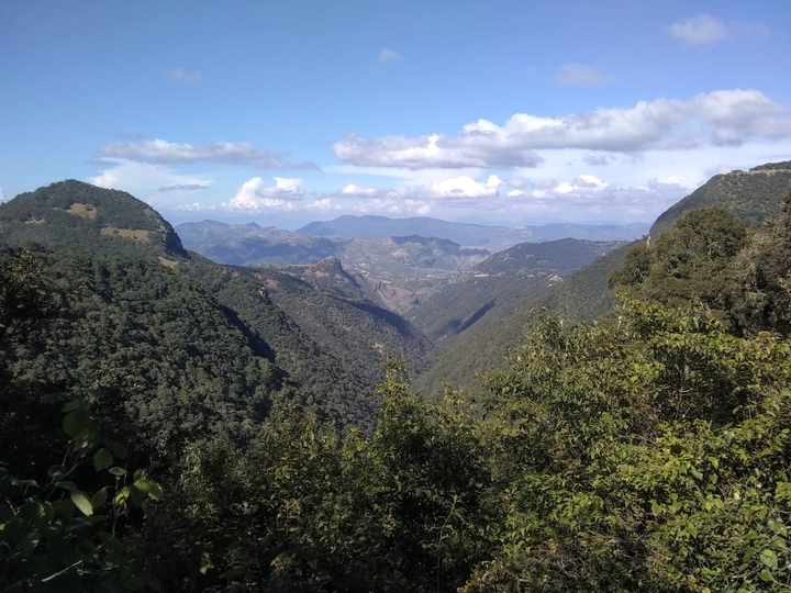 NATURE