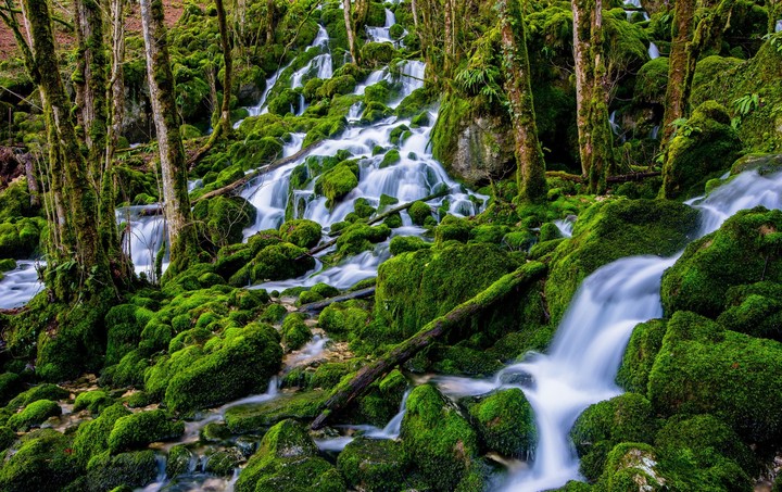 nature