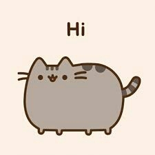 pusheen