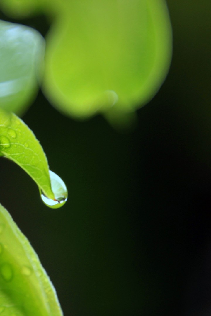 Drop