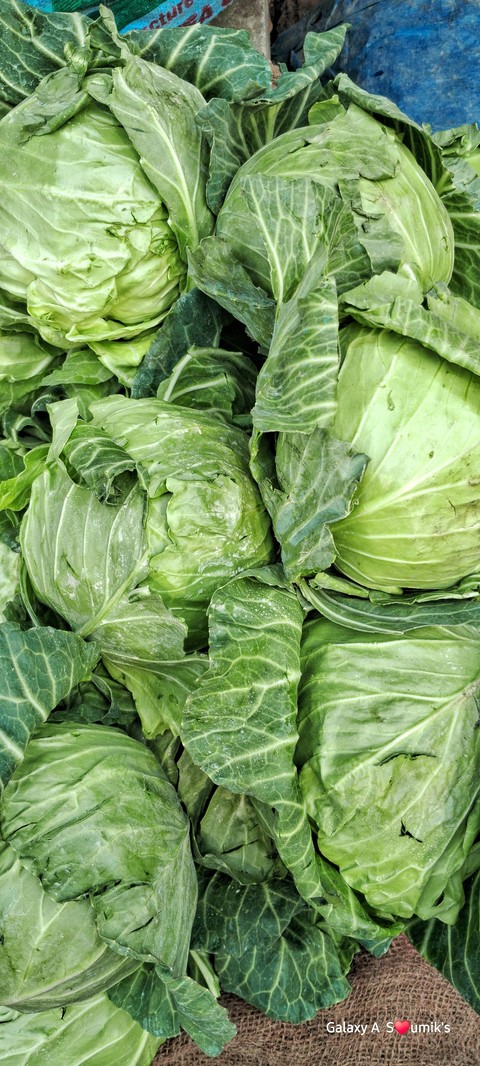 ταπετσαρίες superfood, Cabbage