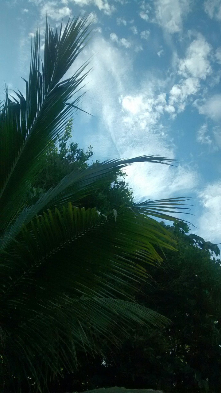 Tranquilidad