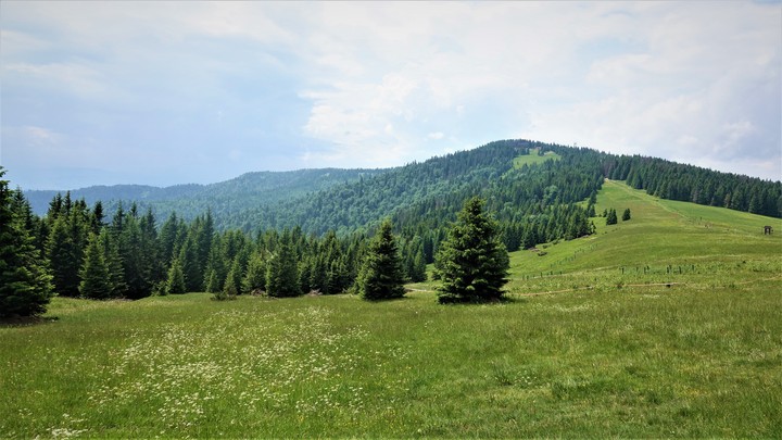 A way to Turbacz Mountain, Gorce, Poland