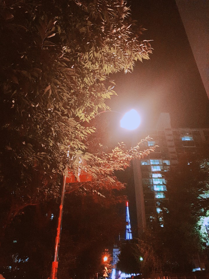 가로등