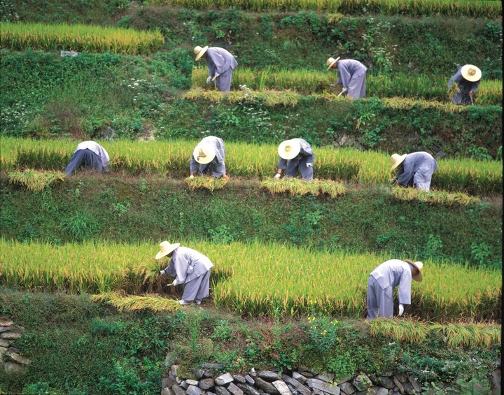 Asia