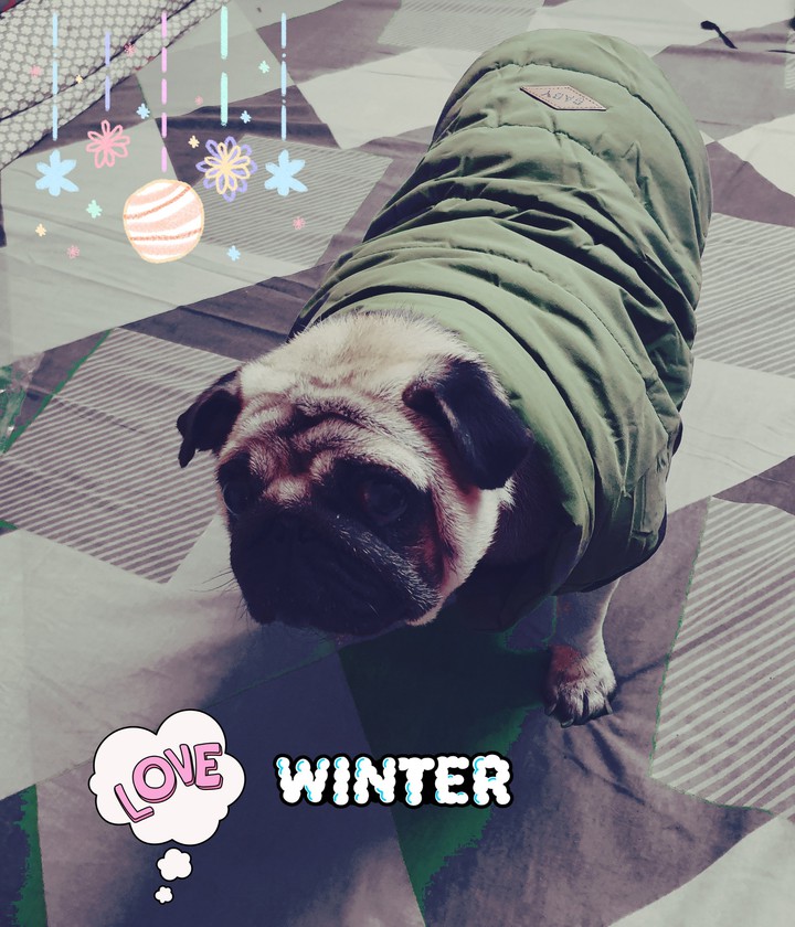 winter