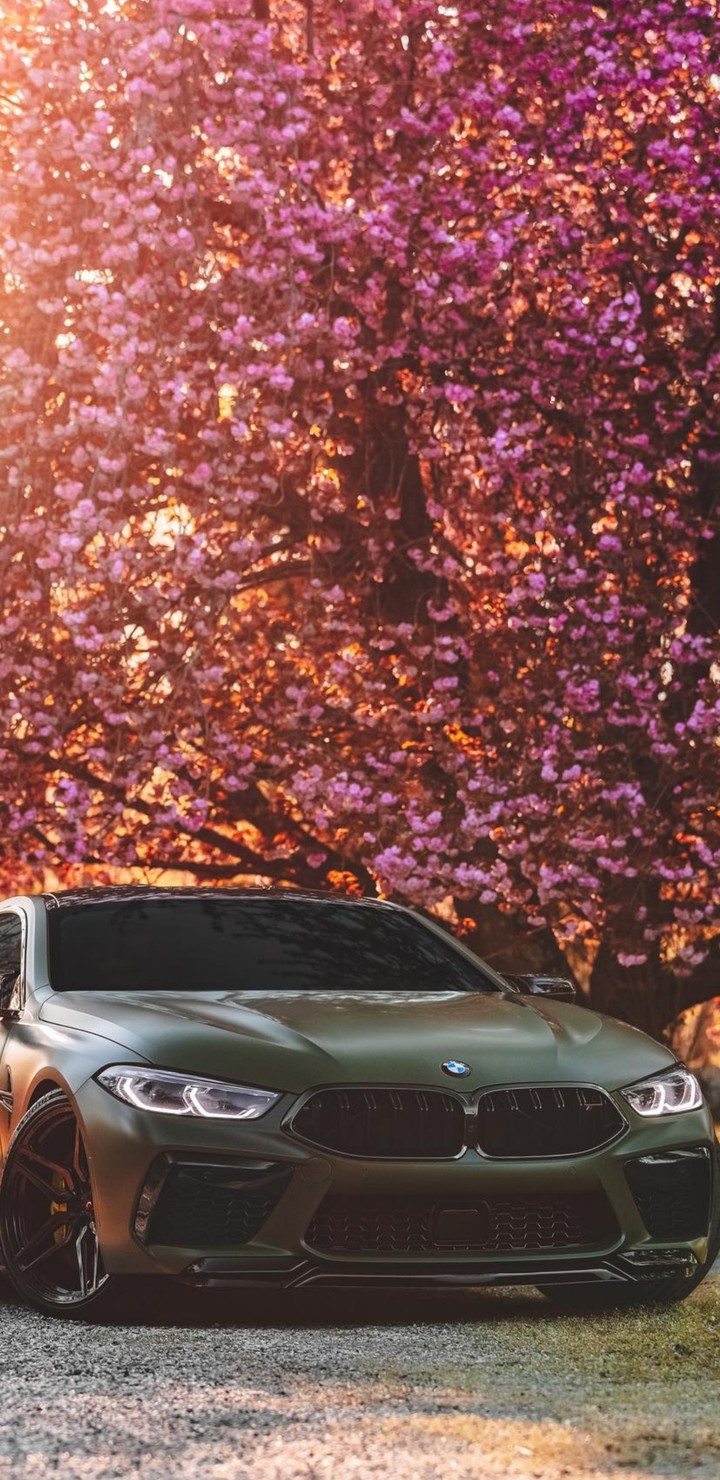 BMW m8