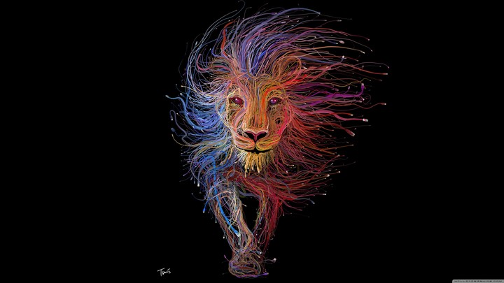 Lion Hd