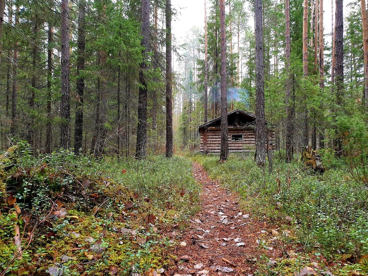 Зимовье