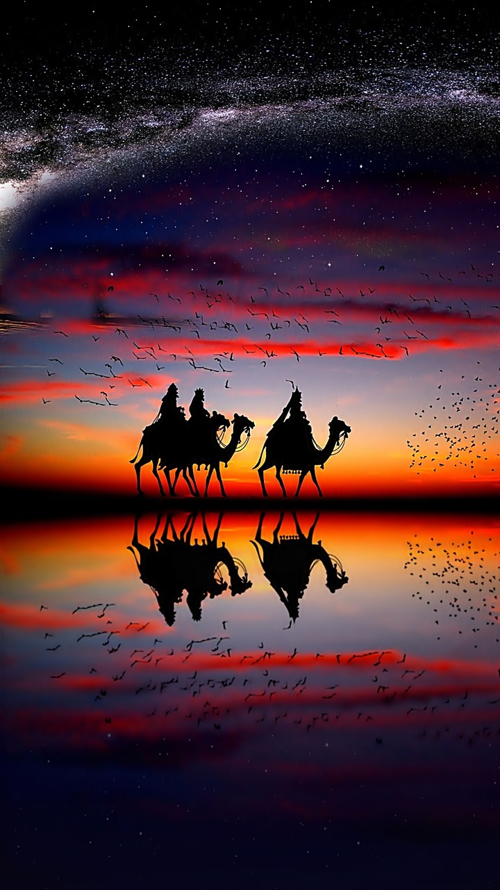 camel