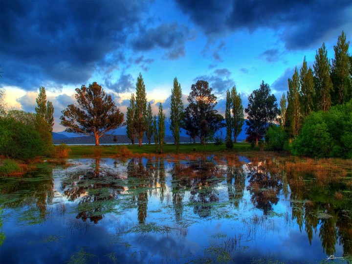 nature