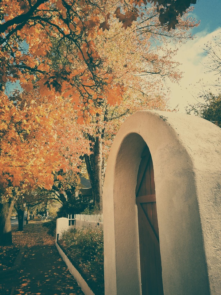 vintage fall