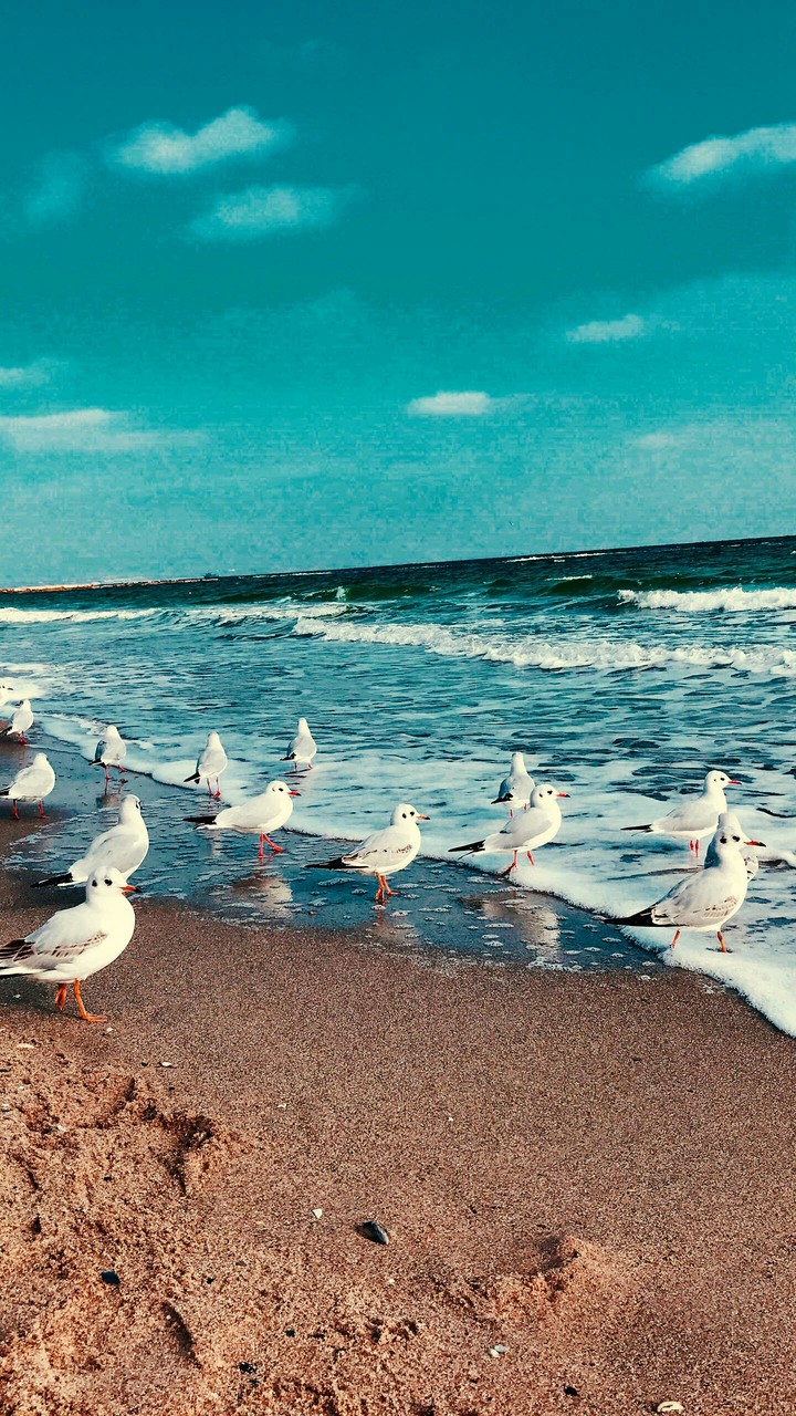 Sea Side