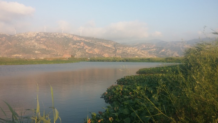 Manzara