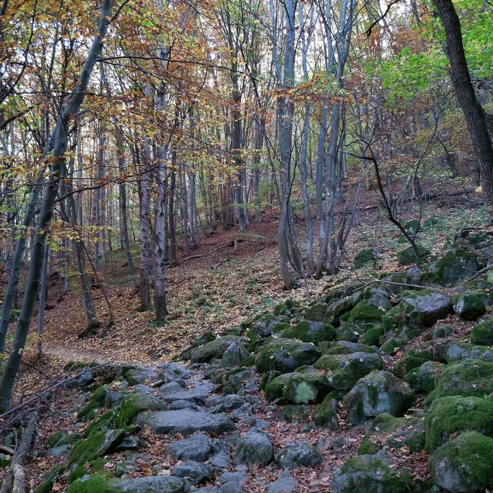 autumn