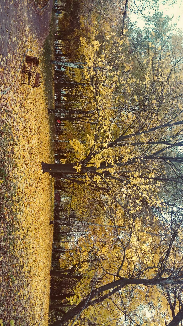 yellow 5
