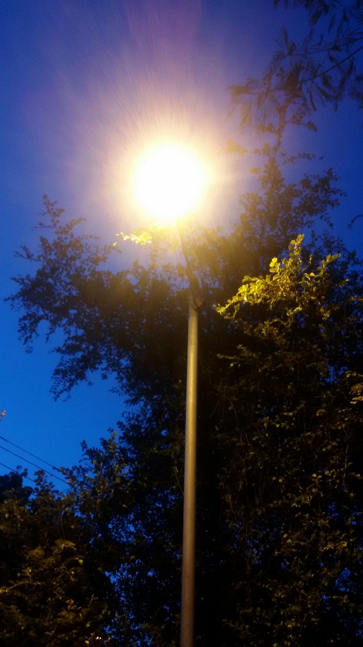 Noite de Luz