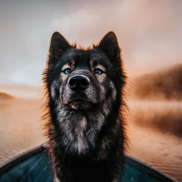∆