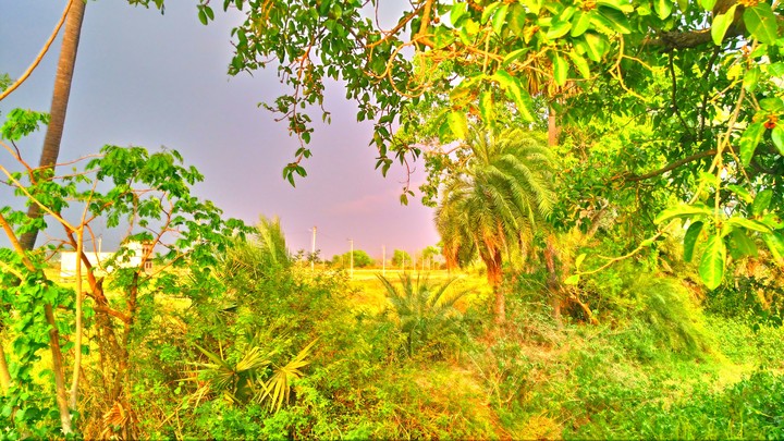 a cloudy day