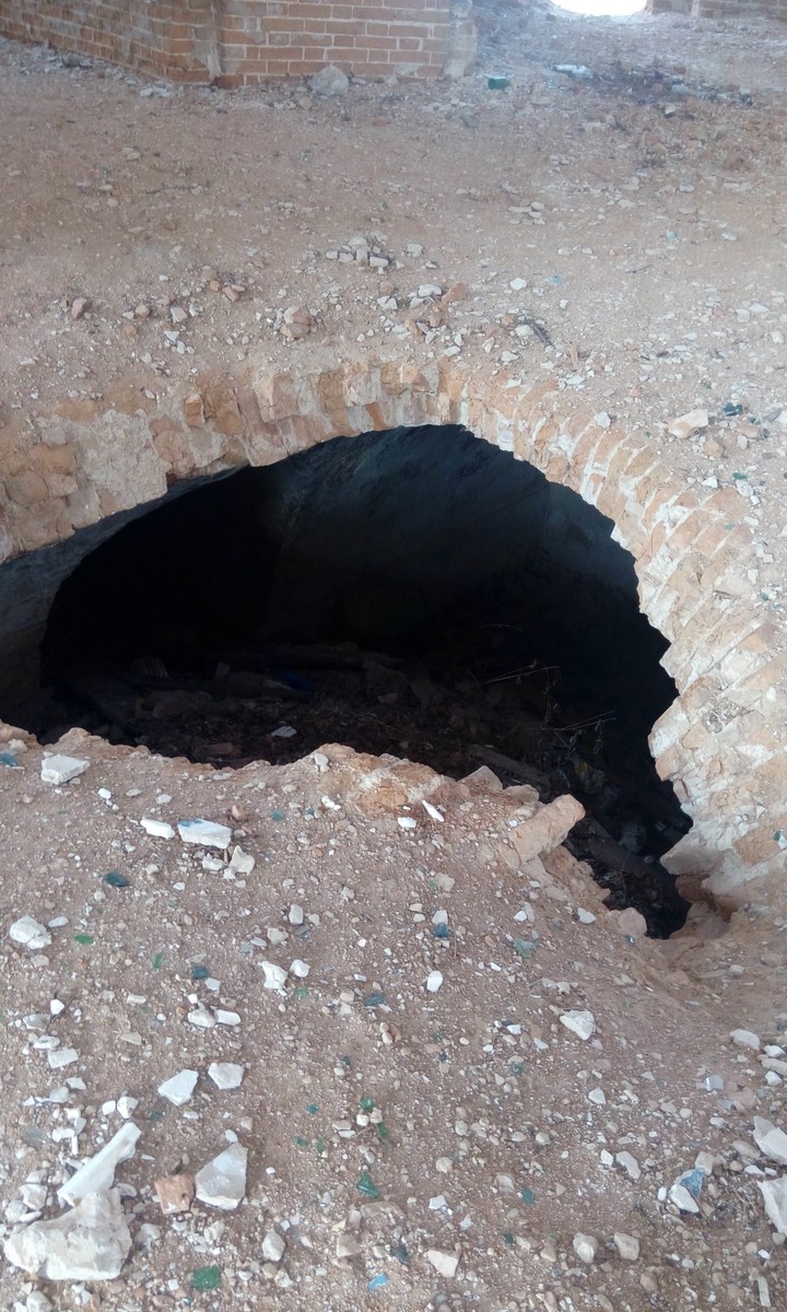нора
