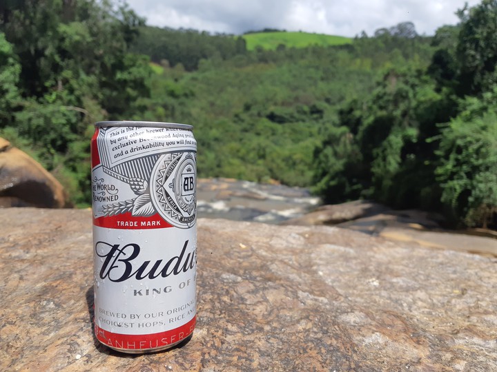 Beer and Nature