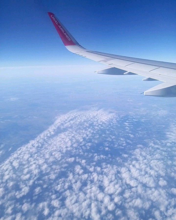 Fly