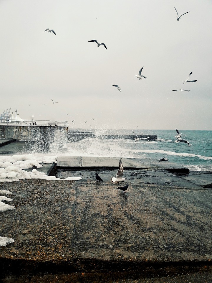 море