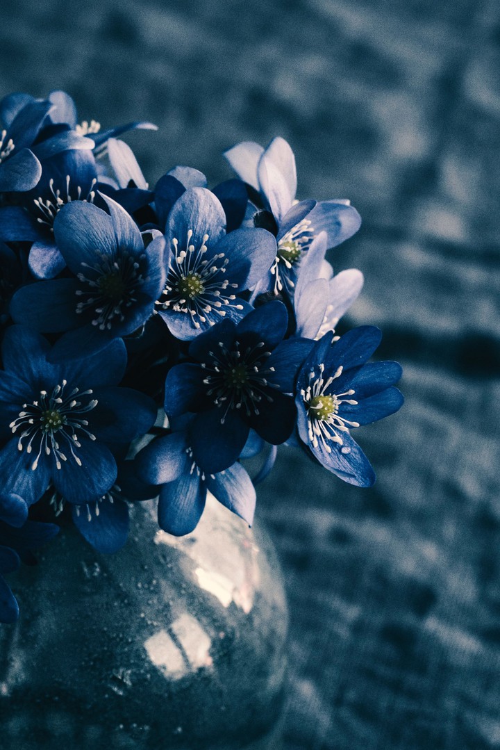 #Flower