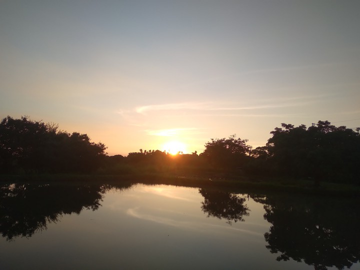 田心子 夕陽