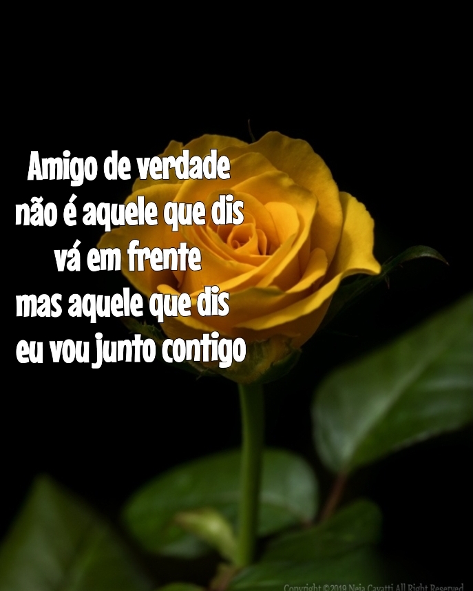 AMIZADE