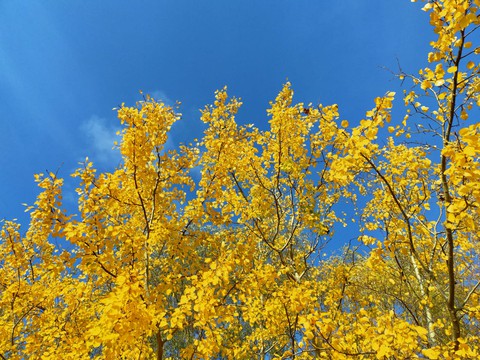 sky