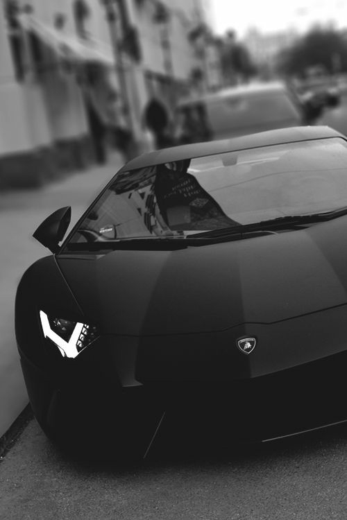 Black Beauty